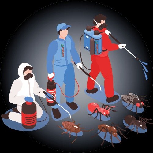 Produits de lutte et traitements contre les nuisibles au Maroc : Cafards, Punaise de Lit, Scorpions et Serpents